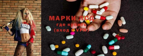 прущие грибы Верея