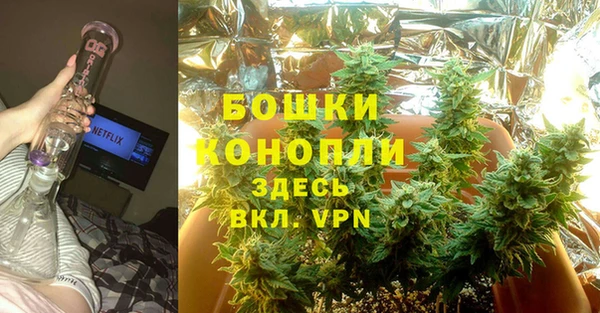 мдпв Волоколамск